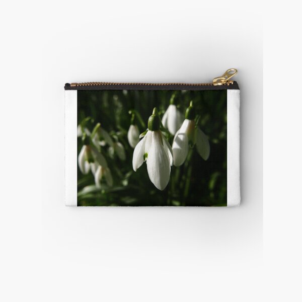 Item preview, Snowdrop (Galanthus) designed and sold by IOMWildFlowers.