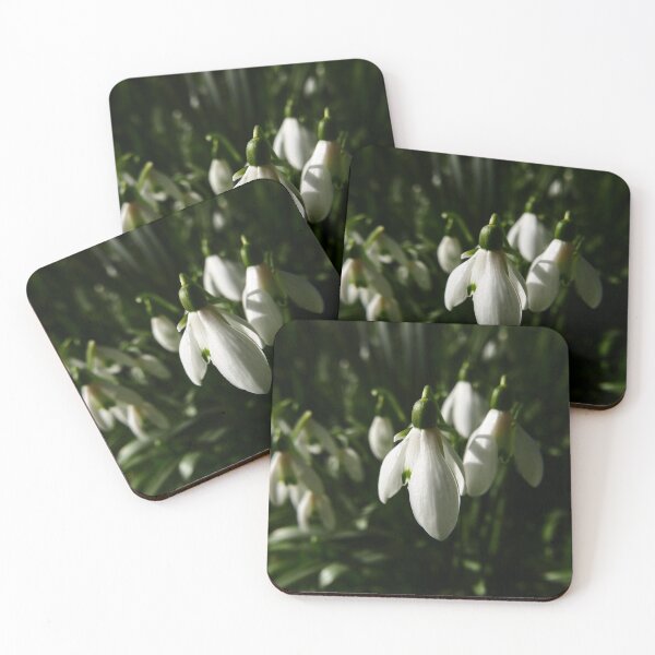 Item preview, Snowdrop (Galanthus) designed and sold by IOMWildFlowers.