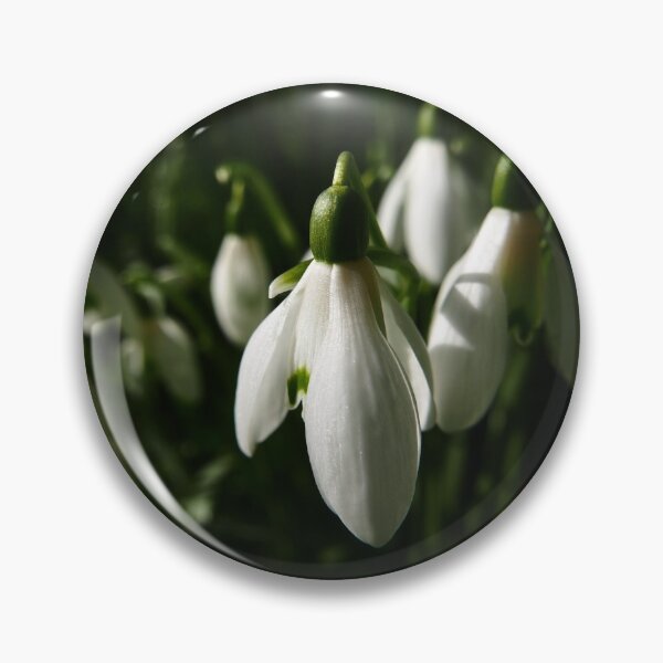 Item preview, Snowdrop (Galanthus) designed and sold by IOMWildFlowers.