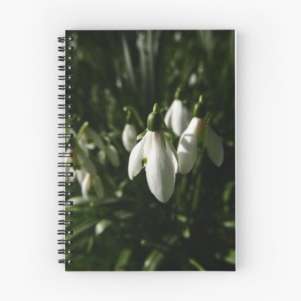 Item preview, Snowdrop (Galanthus) designed and sold by IOMWildFlowers.