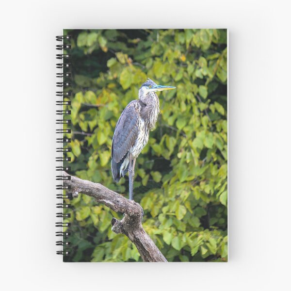 Item preview, Chattahoochee Heron designed and sold by Bob Hardy.