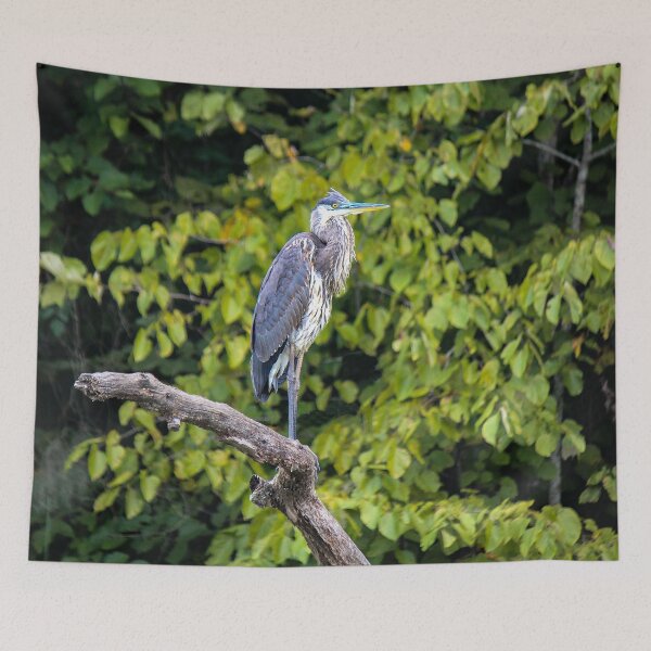 Item preview, Chattahoochee Heron designed and sold by Bob Hardy.
