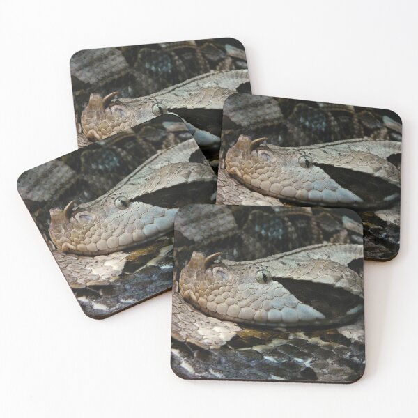 Item preview, Gaboon viper designed and sold by rootedrender.