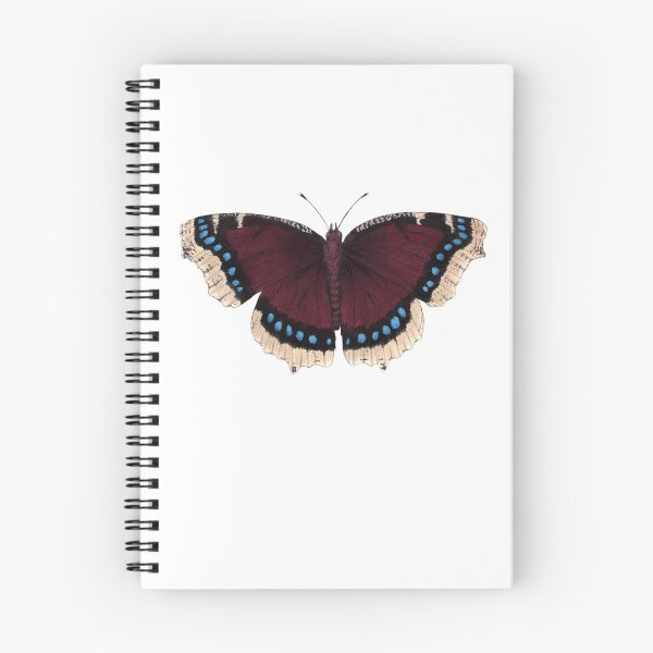 Item preview, Mourning Cloak (Nymphalis antiopa) designed and sold by JadaFitch.