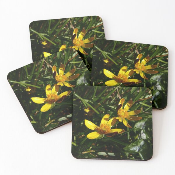Item preview, Lesser Celandine (Ficaria verna) designed and sold by IOMWildFlowers.