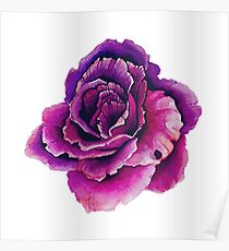 Flower Poster