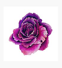 Flower Photographic Print