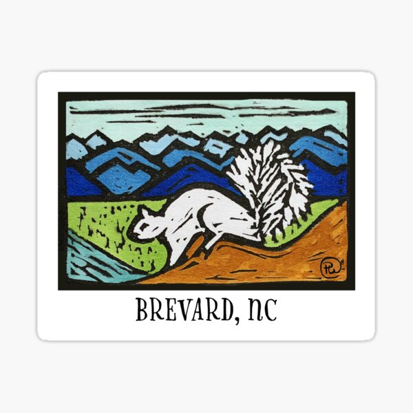 "Brevard White Squirrel" Sticker for Sale by peawoods | Redbubble