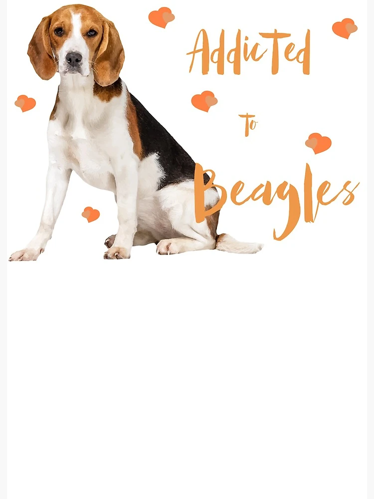 Pet Names For Cute Female Beagle Names Cute Female Beagle Names