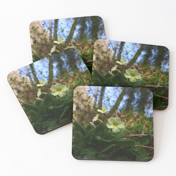 Item preview, Primrose (Primula vulgaris) designed and sold by IOMWildFlowers.
