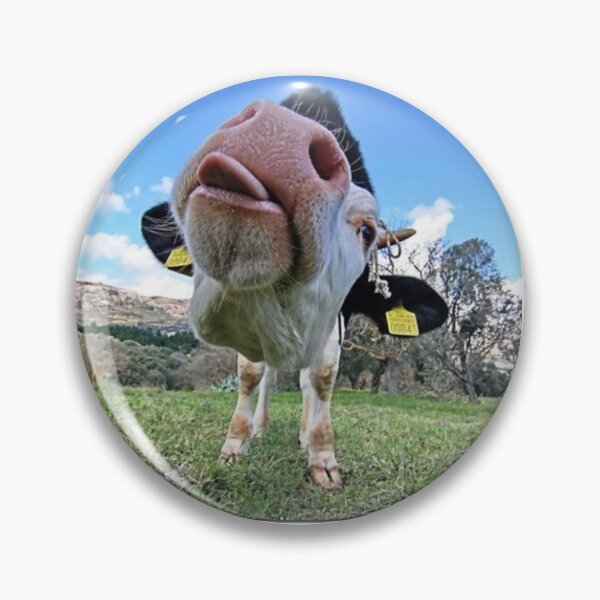 Item preview, moo moo designed and sold by AlfordsStore.