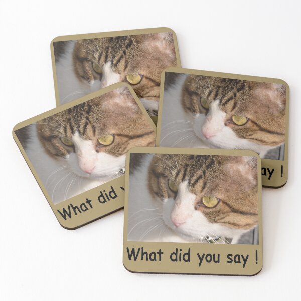 Item preview, What did you say! cat lover designed and sold by JAZTshirt.