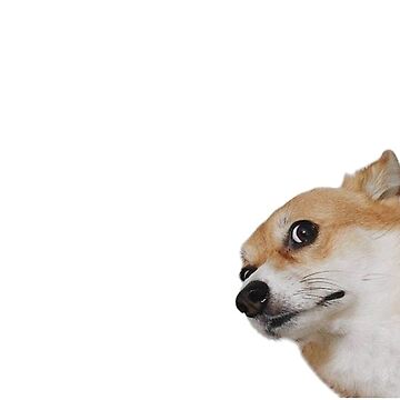 Artwork thumbnail, corgi face by madelinepaul99