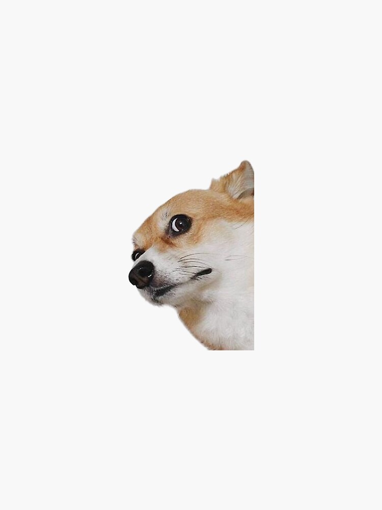 Thumbnail 3 of 3, Sticker, corgi face designed and sold by madelinepaul99.