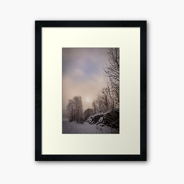 Framed Art Print
