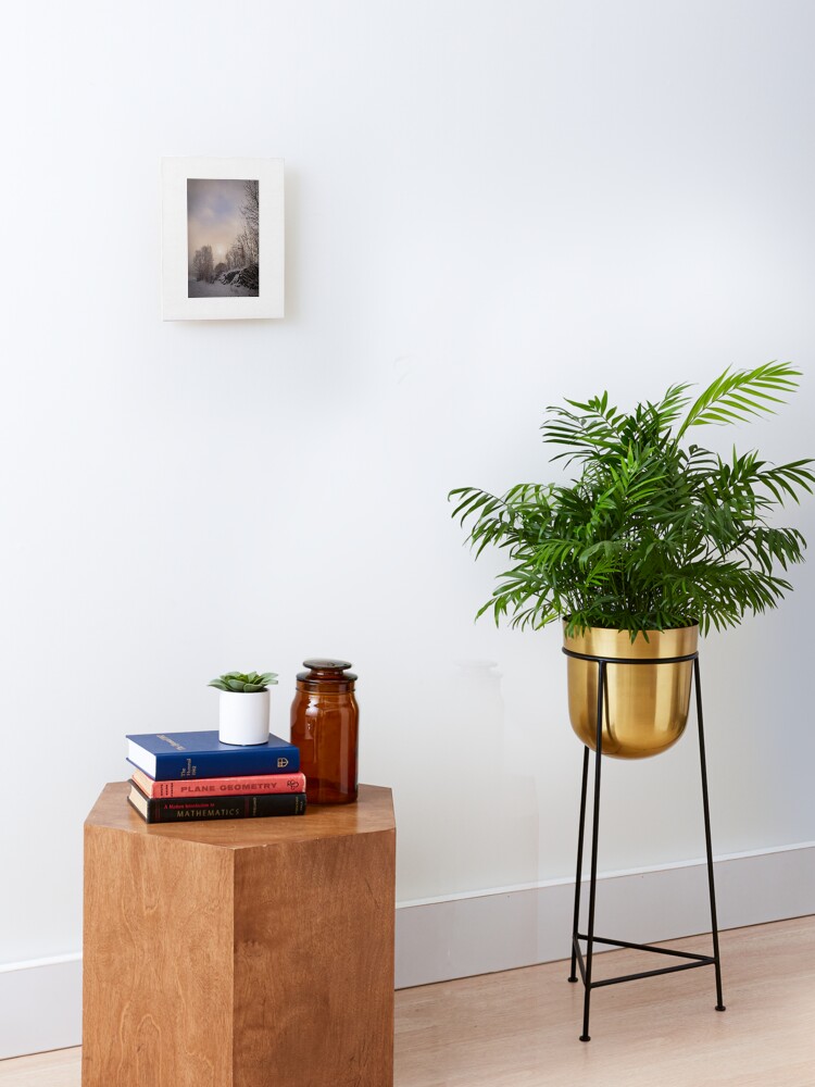 Thumbnail 1 of 6, Mounted Print, Sun looking through mist designed and sold by Bjørnar Haveland.