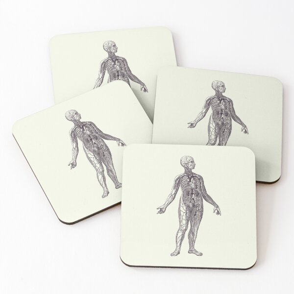 Item preview, Venous System Diagram - Vintage Anatomy Poster 2 designed and sold by VAposters.