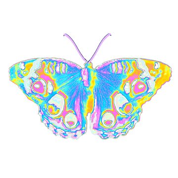 Artwork thumbnail, First Butterfly Of Spring  by dinaaaaaah
