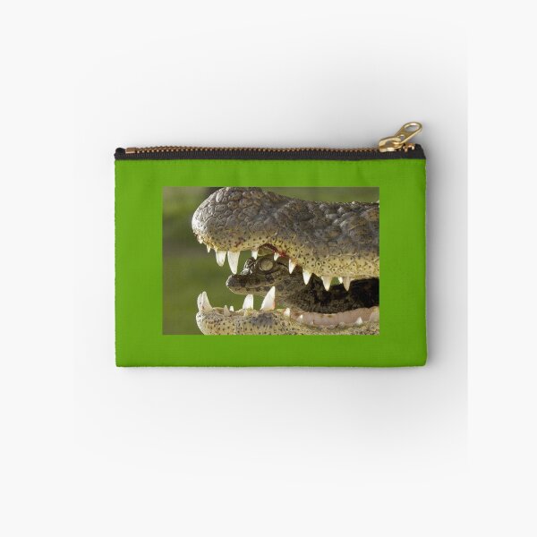 Item preview, baby gator designed and sold by AlfordsStore.