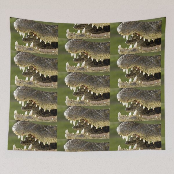 Item preview, baby gator designed and sold by AlfordsStore.