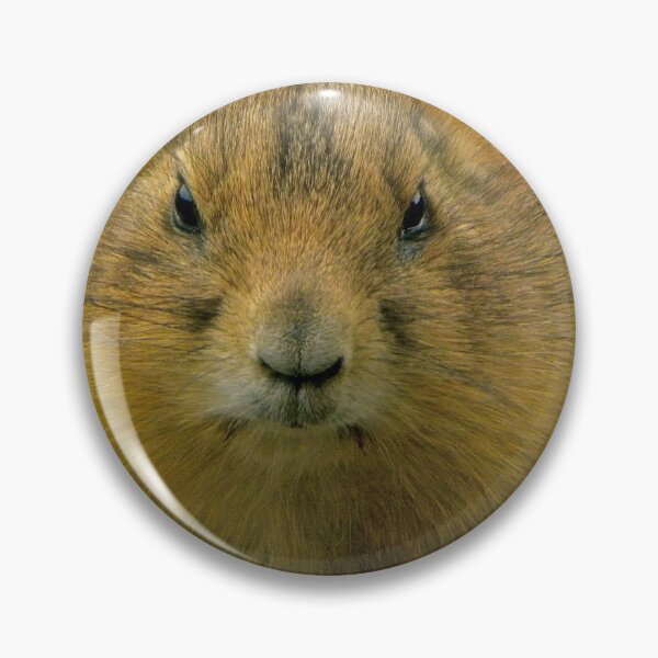 Item preview, fluffed up prairie dog designed and sold by mamba.