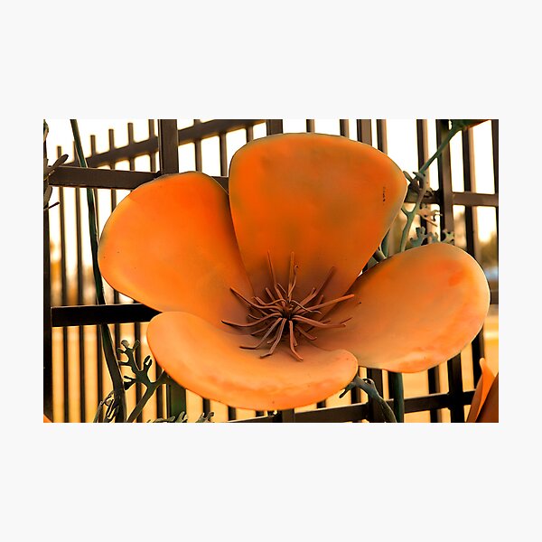 Item preview, Garden gate 2 -Clovis Botanical Gardens designed and sold by Martha Burns.