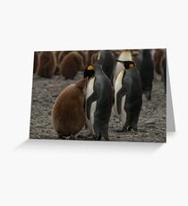 Food Time Greeting Card