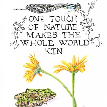 Artwork thumbnail, Kin by It's All Malarkey
