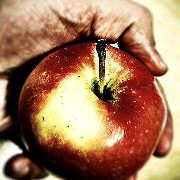 Artwork thumbnail, An apple in hand by inshadowz
