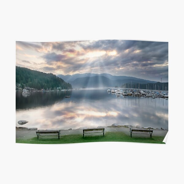 Deep Cove Poster