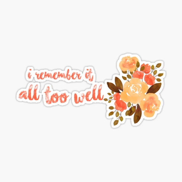 Taylor Swift all Too Well Sticker Pack of 8/ Sadie Sink Sticker/ Taylor  Swift Sticker Pack / All Too Well Lyrics / Taylors Version 