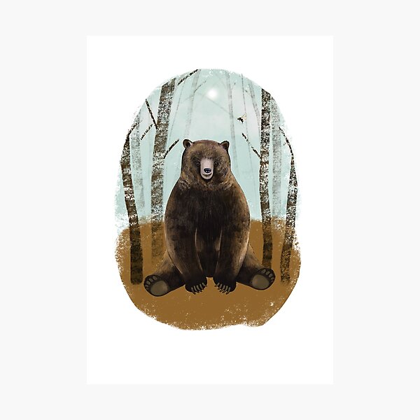 djungelskog ikea bear Photographic Print for Sale by acamille28