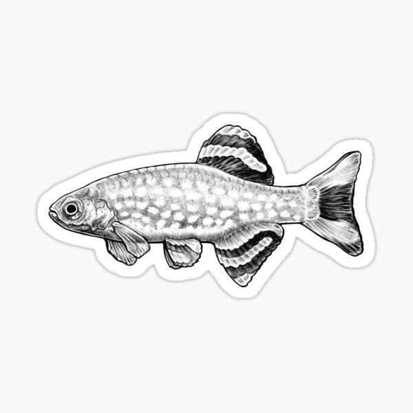 Item preview, Galaxy rasbora ballpoint designed and sold by Hannah  Schmidt.