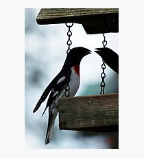 Giving Thanks Photographic Print