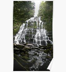 Nelsons Falls Poster