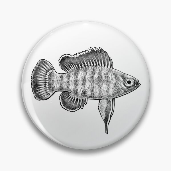 Item preview, Scarlet badis ballpoint designed and sold by Hannah  Schmidt.