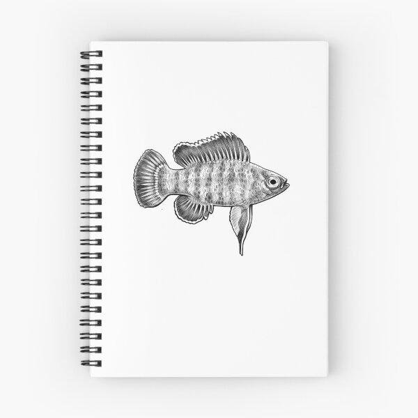 Item preview, Scarlet badis ballpoint designed and sold by Hannah  Schmidt.