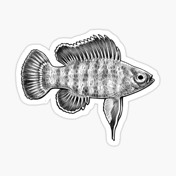 Item preview, Scarlet badis ballpoint designed and sold by Hannah  Schmidt.