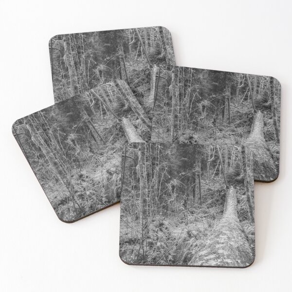 Item preview, Fallen designed and sold by Belinda Greb Photography.