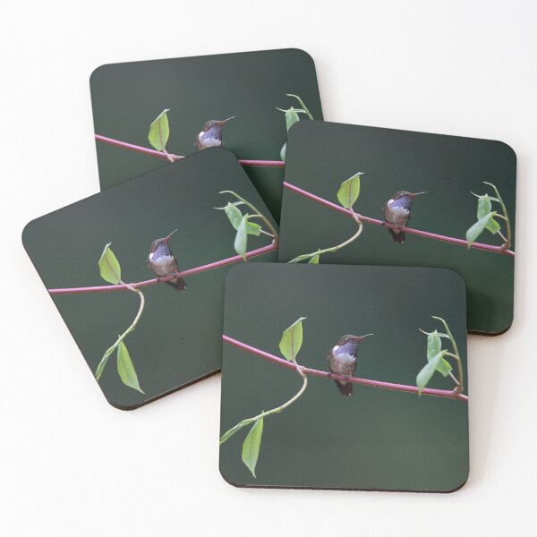 Item preview, Hummingbird designed and sold by mlorenz.