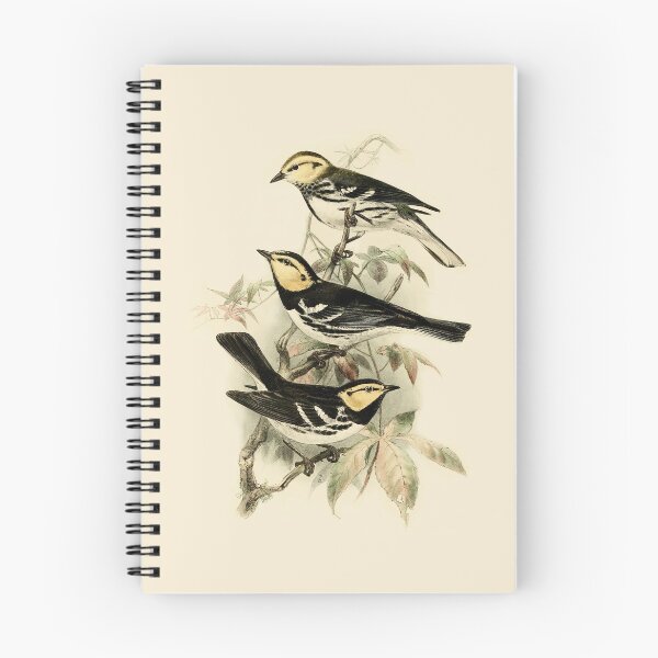 Item preview, Vintage Birds Golden-cheeked Warbler Illustration designed and sold by Time Travel Undone.