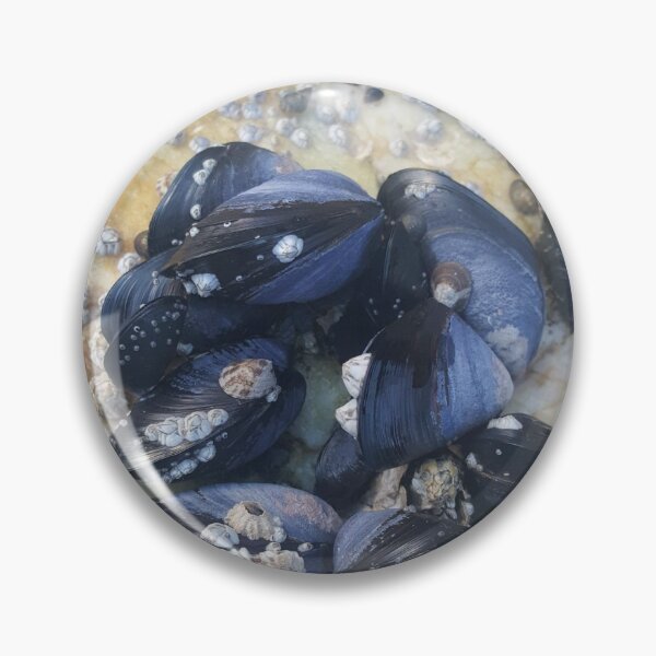 Item preview, Oysters  designed and sold by Krystal  Thomas.
