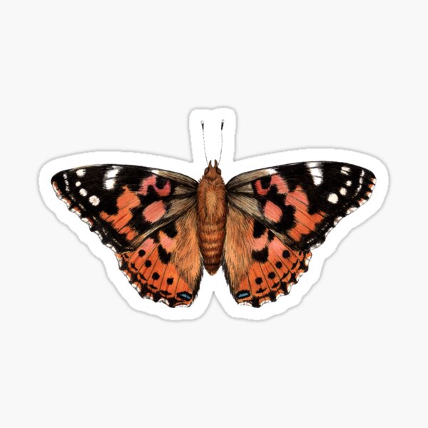 Item preview, Painted Lady (Vanessa cardui) designed and sold by JadaFitch.