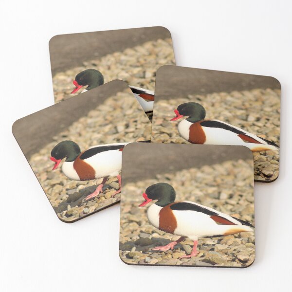Item preview, Shelduck designed and sold by ellenmpics.