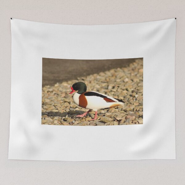 Item preview, Shelduck designed and sold by ellenmpics.