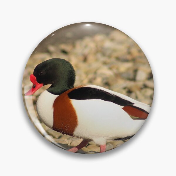 Item preview, Shelduck designed and sold by ellenmpics.
