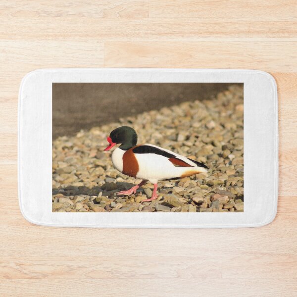 Item preview, Shelduck designed and sold by ellenmpics.