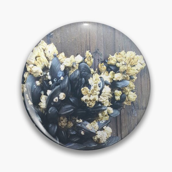 Item preview, Oysters Growing on Dock  designed and sold by Krystal  Thomas.