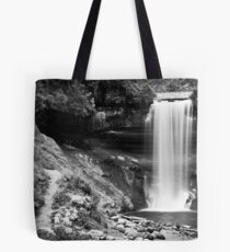 Minnehaha Falls 1 Tote Bag