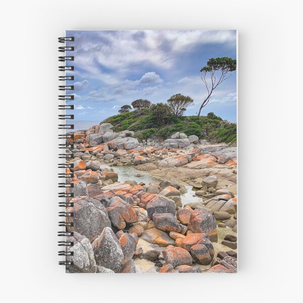 Item preview, Bay of Fires - Tasmania - Australia designed and sold by TonyCrehan.